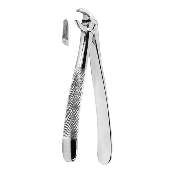 Extracting Forceps