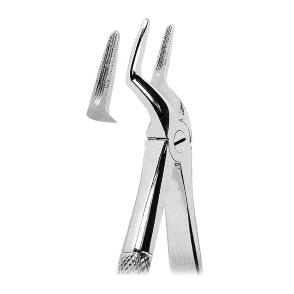 Extracting Forceps