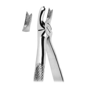 Extracting Forceps