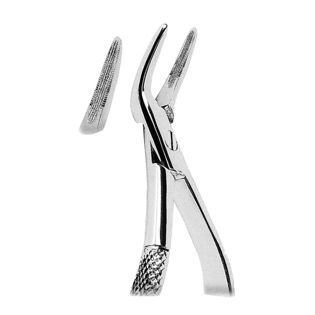 Root Splinter Forceps