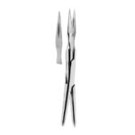 Root Splinter Forceps