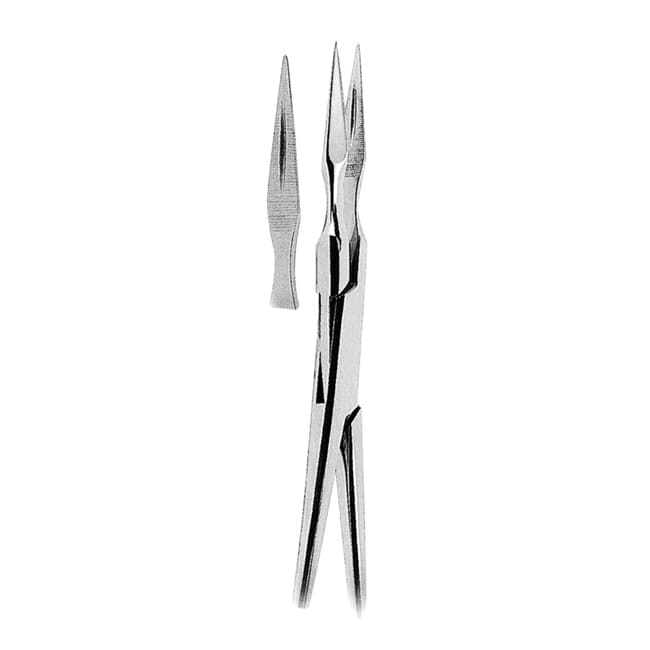 Root Splinter Forceps