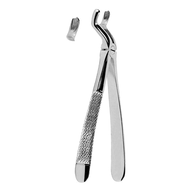 Extracting Forceps