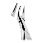 Extracting Forceps American Pattern