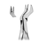 Extracting Forceps American Pattern