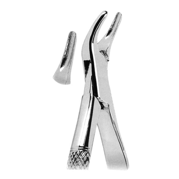 Extracting Forceps American Pattern