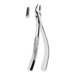 Extracting Forceps American Pattern