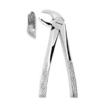 Extracting Forceps American Pattern