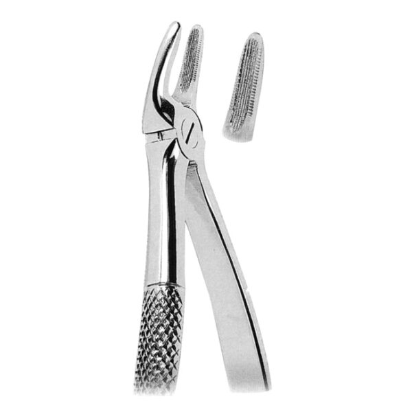 Extracting Forceps American Pattern