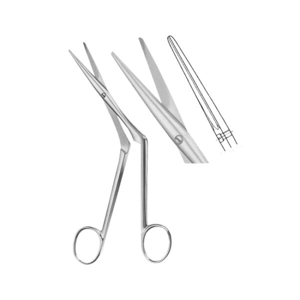 Oral Delicate Scissors