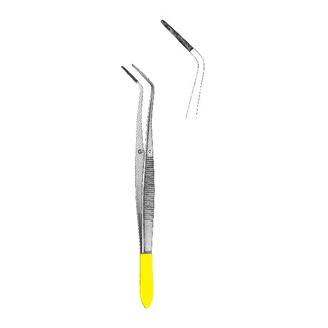 TC Dissecting Forceps