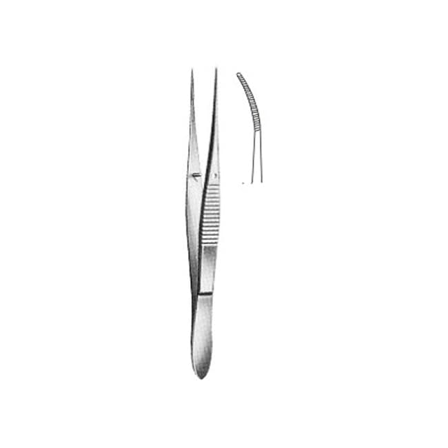 Delicate Disecting Forceps