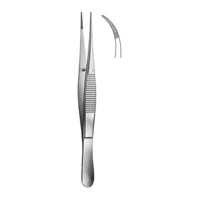 Delicate Disecting Forceps