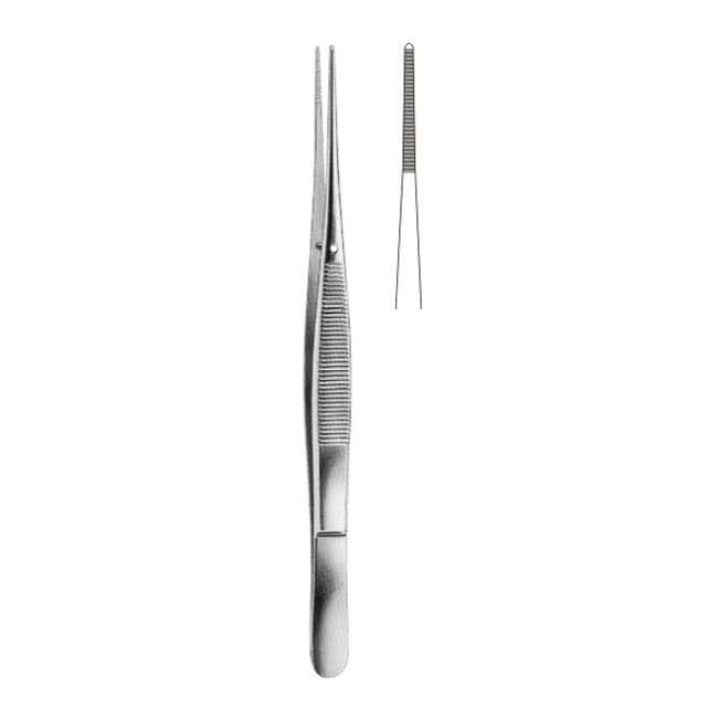 Delicate Disecting Forceps