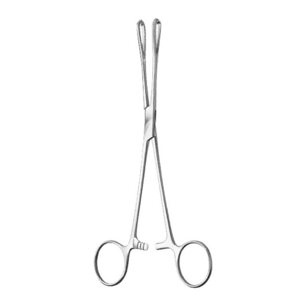 Sponge Holding Forceps