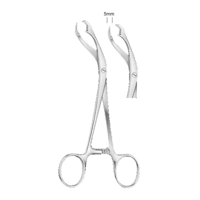 5098-minBone Holding Forceps